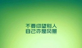 励志新闻爆料大全最新版,见证平凡人的非凡力量